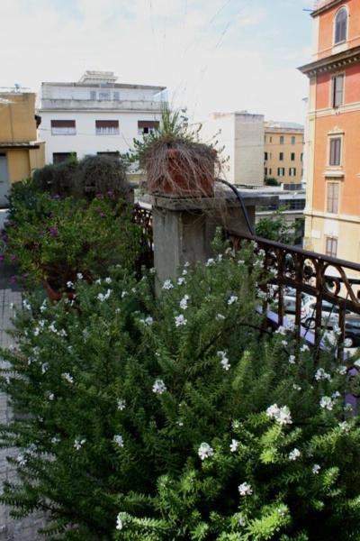 Eleven Apartment روما المظهر الخارجي الصورة